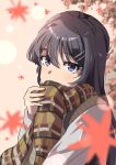  1girl absurdres autumn autumn_leaves black_hair blue_eyes blush covering_mouth falling_leaves hair_ornament hairclip highres leaf long_hair looking_at_viewer maple_leaf rabbit_hair_ornament raiz_art_works sakurajima_mai scarf seishun_buta_yarou 