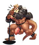  5_fingers abs absurd_res accessory anklet anthro balls barazoku big_balls big_muscles big_penis bottomless bracelet brown_body brown_fur clothed clothing cock_ring cursedmarked ear_piercing ear_ring fingers friday_(friday_otter) fur genitals giant_otter hi_res huge_muscles humanoid_genitalia humanoid_hands humanoid_penis jacket jewelry leather leather_clothing leather_daddy leather_jacket leather_topwear legband lutrine male mammal microphone muscular muscular_anthro mustelid nipple_piercing nipples open_clothing open_jacket open_topwear penis penis_accessory penis_jewelry piercing pink_nipples punk ring_piercing river_otter rock_out_with_your_cock_out simple_background solo spiked_anklet spiked_bracelet spiked_legband spikes thick_penis topwear vein veiny_penis white_background 