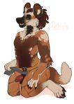  african_wild_dog anthro balls brown_balls brown_body brown_fur brown_hair brown_sclera brown_sheath canid canine cheek_tuft clothed clothing dreadlocks facial_tuft fangs full-length_portrait fur genitals grey_loincloth hair half-erect hi_res kneeling male mammal narrowed_eyes neck_tuft open_mouth orange_body orange_fur penis penis_tip portrait pupbii signature simple_background solo three-quarter_view topless tuft white_background white_body white_fur 