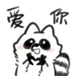  1:1 2022 ambiguous_gender blush chinese_text low_res mammal mrshu procyonid raccoon simple_background sketch solo text thumbnail translation_request white_background 