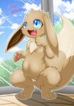  absurd_res anthro blue_eyes blush brown_body censored day eevee female flat_chested generation_1_pokemon genitals hi_res nayunata nintendo nipples outside pokemon pokemon_(species) pussy solo spread_legs spreading video_games young 