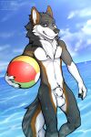  animal_genitalia anthro ball balls beach_ball canid canine canis clyde_wolf digital_media_(artwork) fur genitals hi_res inflatable looking_at_viewer male mammal nude outside seaside sheath simple_background solo water wolf 