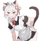  :d animal_ear_fluff animal_ears apron bangs black_dress blue_eyes blush cat_ears cat_tail collared_dress dress frilled_apron frills grey_hair hair_between_eyes hand_on_hip highres ikeuchi_tanuma leaning_forward looking_at_viewer neck_ribbon original puffy_short_sleeves puffy_sleeves red_ribbon ribbon short_sleeves simple_background smile standing sweat tail white_apron white_background wrist_cuffs 