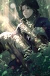  1boy artist_name black_eyes black_hair leaf sitting solo sumeragi_(black_rose) sword tear_ring_saga tear_ring_saga:_utna_heroes_saga tree vega_(tear_ring_saga) weapon 