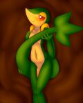  blush embarrassed fluffolio generation_5_pokemon genitals hi_res holding_tail looking_at_viewer male nintendo penis pokemon pokemon_(species) red_eyes snivy solo tree_stump video_games 