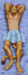  absurd_res anthro dakimakura_design felid feline furry hi_res male mammal musculature nude pize serval solo 