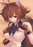  animal_ears antenna_hair bare_shoulders blazblue breasts brown_hair fingerless_gloves gloves large_breasts makoto_nanaya midriff naughty_face navel revealing_clothes shirt_lift short_hair solo squirrel_ears squirrel_tail tail teasing underboob yude 