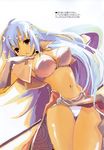  blue_hair breasts brown_eyes cape capelet covered_nipples gloves highres large_breasts loincloth long_hair mage_(ragnarok_online) open_mouth panties pantyshot pelvic_curtain ragnarok_online shibano_kaito solo underwear 