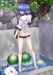  ass barefoot bird blue_hair chick chicken faucet flower food from_behind fruit hair_over_eyes hydrangea kawajuu legs long_legs looking_back no_panties original pointy_ears see-through short_hair solo thighs wading water watermelon wet wet_clothes 