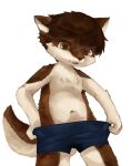  2022 anthro black_nose blue_bottomwear blue_clothing blue_shorts blush bodily_fluids bottomwear brown_body brown_ears brown_eyes brown_fur brown_hair brown_tail canid canine canis clothing countershading digital_media_(artwork) domestic_dog eye_glint fur hair hands_on_hips hi_res inner_ear_fluff kemono kintubaovo looking_at_own_genitalia looking_down male mammal navel shorts shorts_only simple_background solo standing sweat sweatdrop triangle_nose tuft two_tone_tail white_background white_body white_countershading white_fur white_inner_ear white_inner_ear_fluff white_tail 