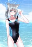  1girl animal_ear_fluff animal_ears bangs black_one-piece_swimsuit blue_archive blue_eyes blue_sky breasts clothes_pull cloud competition_swimsuit contrapposto covered_navel cross_hair_ornament day extra_ears grey_hair hair_ornament halo highres horizon looking_at_viewer low_ponytail medium_breasts medium_hair mismatched_pupils multicolored_clothes multicolored_swimsuit ocean one-piece_swimsuit outdoors shiroko_(blue_archive) shiroko_(swimsuit)_(blue_archive) sky smile solo swimsuit swimsuit_pull yumeneko_nyaa 