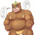  1:1 alli_paeonia anthro ashigara bikini black_nose blush brown_body clothed clothing crossdressing hi_res humanoid_hands japanese_text kemono lifewonders male mammal moobs overweight overweight_male solo swimwear text tokyo_afterschool_summoners underwear ursid video_games 