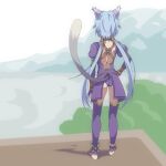  1girl animal_ears ass blue_hair cat_ears cat_tail feet fingerless_gloves from_behind full_body gloves highres kaien_advance long_hair low_twintails meracle_chamlotte panties solo star_ocean star_ocean_the_last_hope tail thighhighs twintails underwear 