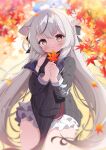  1girl absurdres animal_ear_fluff animal_ears autumn_leaves black_dress black_hair blue_archive blurry blurry_background brown_eyes closed_mouth dress g4ku heart heart-shaped_pupils highres holding holding_leaf kokona_(blue_archive) leaf long_hair looking_at_viewer maple_leaf multicolored_hair outdoors sidelocks smile solo streaked_hair striped striped_dress symbol-shaped_pupils thighs vertical_stripes very_long_hair white_hair 