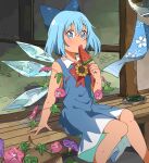  1girl arm_support bangs blue_bow blue_dress blue_eyes blue_hair blush bow cirno collared_dress dress eating feet_out_of_frame flat_chest flower food hair_between_eyes hair_bow hand_up highres holding holding_food ice ice_wings long_dress neck_ribbon open_mouth plant popsicle red_ribbon ribbon sasaki_sakiko sleeveless sleeveless_dress sliding_doors solo sunflower sweat tan tanned_cirno touhou veranda vines wings wooden_floor 