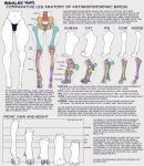  absurd_res anatomy anthro biped bone bovid bovine cattle clothed clothing domestic_cat domestic_pig english_text equid equine feet felid feline felis female hi_res hooves horse human humanoid_feet mammal marmalademum paws skeleton solo suid suina sus_(pig) text toes underwear underwear_only 