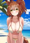  1girl animal_ears aston_machan_(umamusume) beach blush breasts brown_hair collarbone crown green_eyes herohero_(higashi_no_dou) highres horse_ears horse_girl horse_tail large_breasts looking_at_viewer navel ocean smile solo tail umamusume 