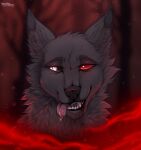  2020 artist_name black_nose black_sclera blood blood_on_chin blurred_background bodily_fluids canid cheek_tuft dated drooling facial_tuft fangs feral front_view fur grey_body grey_fur head_tuft heterochromia hi_res looking_aside mammal neck_tuft open_mouth pupils red_eyes saliva saliva_on_tongue saliva_string santanahoffman slit_pupils solo tongue tongue_out tuft white_eyes 