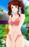  :o amagami bikini brown_eyes brown_hair highres nakata_sae non-web_source screencap solo stitched swimsuit third-party_edit twintails 