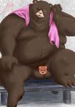  2022 anthro balls belly ben_(zenless_zone_zero) big_belly censored genitals god_wanko hi_res humanoid_hands kemono male mammal mihoyo moobs navel overweight overweight_male scar sitting solo towel towel_around_neck ursid zenless_zone_zero 