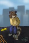  chillhop_raccoon feral hi_res male solo wenqu0304 