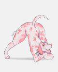  anthro canid canine canis clion dalmata dalmatian domestic_dog hi_res invalid_tag jack-o&#039;_pose male mammal pasivo pink_body pose solo spread_legs spreading 