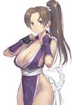  alternate_color bare_shoulders breasts brown_hair cleavage elbow_gloves fatal_fury fingerless_gloves gloves japanese_clothes large_breasts ninja no_panties okojo pelvic_curtain ponytail purple_eyes revealing_clothes shiranui_mai side_slit simple_background solo the_king_of_fighters 
