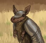  armadillo armor feral field male mammal marsminer metal solo xenarthran 