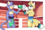  2022 anthro bangs blonde_hair blue_body blue_eyes blue_fur boxing boxing_gloves butt canid canine cheek_tuft chest_tuft clothing dcheese digital_media_(artwork) dipstick_ears dipstick_tail domestic_cat duo facial_tuft felid feline felis fighting_ring fox fur grey_body grey_fur hair handwear hi_res male mammal markings miles_prower mouthguard multicolored_ears orange_eyes sega smile sonic_the_hedgehog_(series) speedo sport swimwear tail_markings tan_body tan_fur tuft whiskers yellow_body yellow_fur 