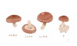  ? bird chai_(drawingchisanne) commentary_request food food_focus looking_at_viewer mushroom no_humans original shiitake signature sweets_bird translation_request white_background 