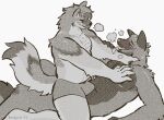  2022 anthro arm_tuft armpit_hair artist_name back_tuft belly birdpaw_(artist) body_hair breath bulge canid canine canis chest_hair chubby_anthro chubby_male clothing coyote digital_media_(artwork) duo elbow_tuft grey_body grin halftone hi_res looking_at_another lying male male/male mammal navel neck_tuft nipples on_back on_top open_mouth shoulder_tuft side_view simple_background slightly_chubby smile tail_tuft tex_(desertmotels) tuft underwear white_background 