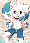  anthro beach blue_body blue_bottomwear blue_clothing blue_eyes blue_fur blue_pants bottomwear chest_tuft clothed clothing front_view fur glistening glistening_eyes hair hi_res high-angle_view looking_at_viewer male navel open_mouth open_smile outside pants penguinexperience pink_nose pink_tongue sand seaside shoulder_tuft signature sitting smile solo tongue topless tuft water white_body white_fur white_hair 