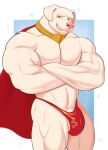  2022 abs absurd_res anthro barazoku biceps big_bulge big_muscles blue_background border bulge canid canine canis cape clothed clothing collar crossed_arms dc_comics doggonut domestic_dog fur genitals hi_res huge_muscles krypto krypto_the_superdog looking_at_viewer male mammal muscular muscular_anthro muscular_male narrowed_eyes navel pecs penis penis_base quads simple_background smile solo standing superhero teeth thong topless topless_anthro topless_male tuft underwear white_border 
