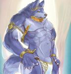  abs anthro big_penis blue_body blue_fur canid canine canis clothing flaccid fur genitals harem_jewelry harem_outfit hi_res kuritama male mammal muscular muscular_anthro muscular_male pecs penis penis_base solo translucent translucent_clothing wolf 