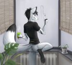  anthro anus beverage canid canine canis coffee darkcat613 drawing kori_rain male mammal paws plant smile solo window wolf 