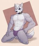  2022 5_toes abs anthro black_nose bulge canid canine canis clothed clothing collar feet fur grey_body grey_fur hi_res jrjresq kneeling looking_at_viewer male mammal muscular muscular_anthro muscular_male nintendo simple_background smile solo star_fox toes underwear underwear_only video_games wolf wolf_o&#039;donnell 
