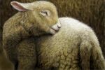  animal animal_focus closed_eyes hokkaido_(artist) lamb no_humans original realistic sheep wool 