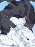  anthro big_breasts blush breasts butt dragon duo female fur generation_5_pokemon hi_res legendary_pokemon male male/female male_penetrating mame02550912 nintendo nude penetration pokemon pokemon_(species) reshiram sex video_games white_body white_fur wings zekrom 