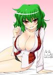  black_panties breasts green_hair grin kazami_yuuka large_breasts no_pants open_clothes open_shirt panties red_eyes sawa_(snack_yoshie) seductive_smile shirt short_hair smile solo touhou underwear 