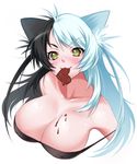  animal_ears bakemonogatari black_hair black_hanekawa breasts cat_ears chocolate cleavage hanekawa_tsubasa large_breasts long_hair monogatari_(series) multicolored_hair nekomonogatari solo transformation two-tone_hair white_hair yakubeni yellow_eyes 