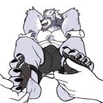  anthro bodily_fluids bulge canid canine canis foot_fetish fur grey_body grey_fur hair invisible_hands male mammal muscular muscular_male pants_only pawpads simple_background solo submissive submissive_male tears tickling tickling_armpits tickling_feet white_background white_hair wolf 