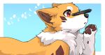  ambiguous_gender balancing_object black_nose blue_background border brown_pawpads canid canine cheek_tuft chest_tuft claws ears_back facial_tuft feral finger_claws fox fur head_tuft inner_ear_fluff kemono kitsuneinu mammal orange_body orange_fur pawpads pivoted_ears red_eyes shaded simple_background snout solo tablet_pen tsukune_minaga tuft white_body white_border white_fur 