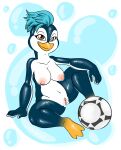  absurd_res anthro australia_2023 avian ball ballon beak bird female fifa genitals hi_res nipples nude penguin pussy soccer soccer_ball solo sport tazuni the_fifa_women&#039;s_world_cup_australia_new_zealand_2023 zooshi 