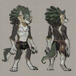  anthro canid canine canis chest_tuft clothing elranno handpaw hi_res link_(wolf_form) male mammal nintendo paws sheikah_slate solo tail_through_underwear text text_on_clothing text_on_underwear the_legend_of_zelda triforce triforce_on_hand tuft underwear video_games wolf 