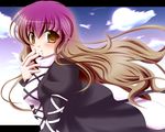  brown_hair gradient_hair hal_(harun) hijiri_byakuren multicolored_hair purple_hair solo touhou yellow_eyes 