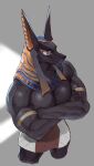  anthro anubian_jackal anubis biceps canid canine canis clothed clothing crossed_arms deity egyptian_mythology headdress hi_res jackal male mammal middle_eastern_mythology muscular muscular_anthro muscular_male mythology passionpit777 pecs solo topless vein 