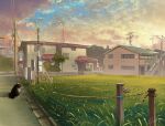  black_cat cat cloud day faucet grass hachiya_shohei highres house original outdoors power_lines rope scenery 