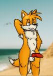  animal_genitalia animal_penis anthro armpit_hair armpit_tuft balls beach blurred_background body_hair bulge canid canine canine_penis chest_tuft clothing fox front_view genitals hands_behind_back male mammal miles_prower nipples penis seaside sega sheath solo sonic_the_hedgehog_(series) throudwire tuft 