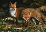  ambiguous_gender autumn black_body black_fur black_lips black_nose canid canine detailed_background duo feral fern forest forest_background fox fur hi_res leg_markings lips mammal markings moss nature nature_background nigel_artingstall orange_body orange_eyes orange_fur outside photorealism plant realistic realistic_feral realistic_fur red_fox traditional_media_(artwork) tree white_body white_fur 