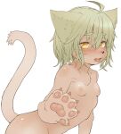  1girl ahoge animal_ears animal_hands blush breasts cat_ears cat_girl cat_tail furry furry_female green_hair hawthorn highres looking_at_viewer nipples nude open_mouth original pawpads short_hair simple_background small_breasts solo tail tongue tongue_out white_background yellow_eyes 